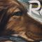 “ROXY” μια ταινία για την παγκόσμια ημέρα αδέσποτων ζώων