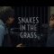 Snakes In The Grass | UK Short film | VSOP PRODUCTIONS